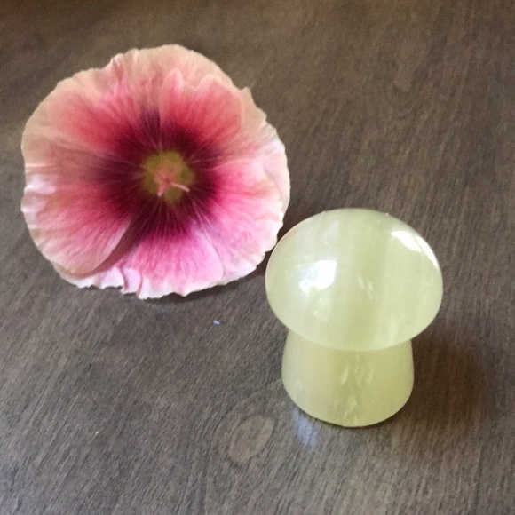 Green Aventurine Crystal Mushroom Stone - Picture 4 of 4